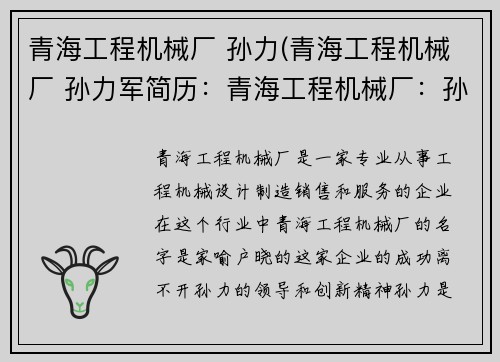 青海工程机械厂 孙力(青海工程机械厂 孙力军简历：青海工程机械厂：孙力引领创新之路)