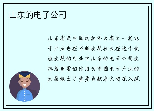 山东的电子公司