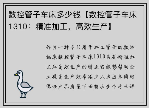 数控管子车床多少钱【数控管子车床1310：精准加工，高效生产】
